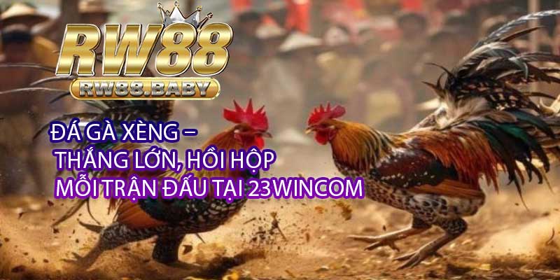 Đá Gà Xèng – Thắng Lớn, Hồi Hộp Mỗi Trận Đấu Tại 23WinCom