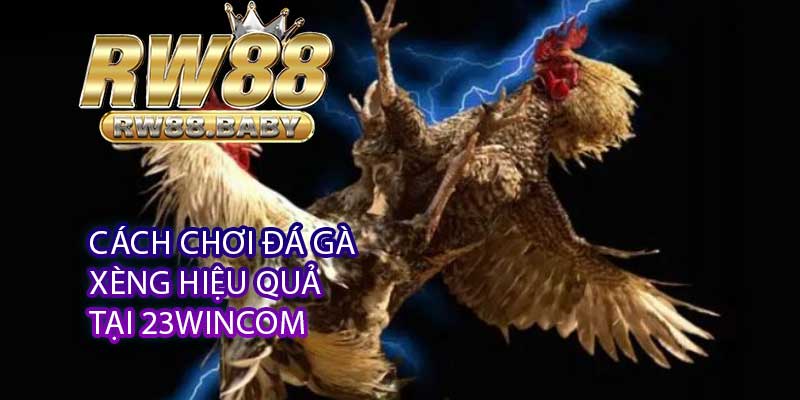 Cách Chơi Đá Gà Xèng Hiệu Quả Tại 23wincom